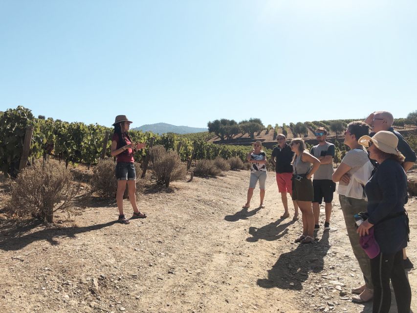 Douro Valley: Tour with Wine Tastings, Lunch, and Boat Ride - Lunch with a choice of three menus