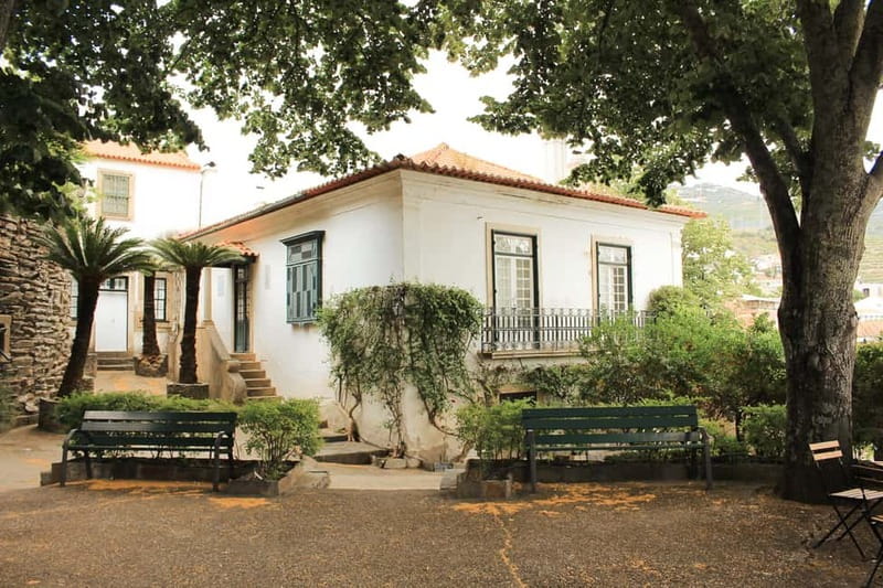Douro Valley: Tour with Wine Tastings, Lunch, and Boat Ride - Second winery: table wines, olive oil, and honey