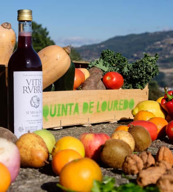 Douro Valley: Traditional Cooking Class, Farm Tour and Lunch - Starting with vinho verde, cheese, and farm produce