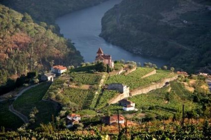 Douro Valley Wine Tour: 3 Vineyard Visits, Wine Tastings, Lunch - Key points to know before booking