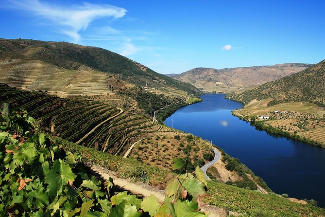 Douro Valley Wine Tour: 3 Vineyard Visits, Wine Tastings, Lunch - Why this Douro day works so well from Porto