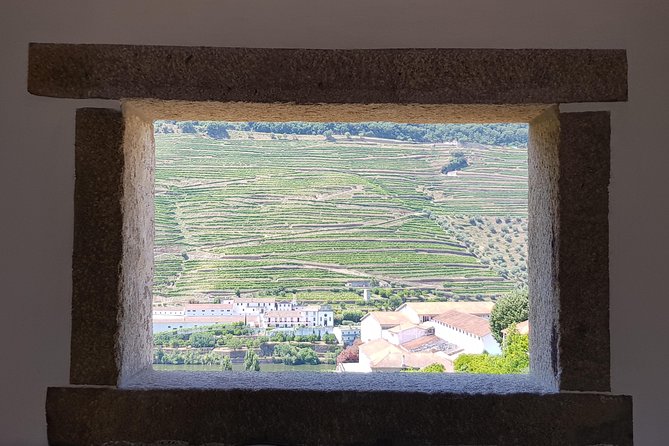 Douro Valley Wine Tour: 3 Vineyard Visits, Wine Tastings, Lunch - National Road 222 and the journey through the valley