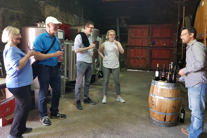 Douro Valley Wine Tour: 3 Vineyard Visits, Wine Tastings, Lunch - Pinhão, mountain views, and a late lunch