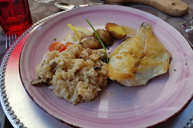 Douro Valley Wine Tour: 3 Vineyard Visits, Wine Tastings, Lunch - Lamego and the first family vineyard