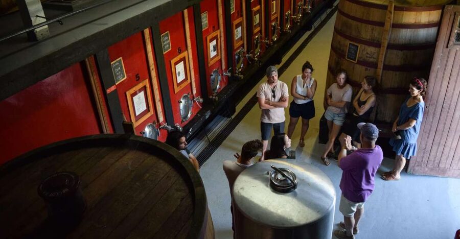 Douro Valley: Winery Tour at Quinta do Tedo and Tastings - Key points to know before you go