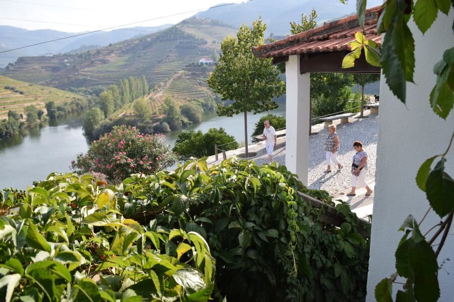 Douro Valley: Winery Tour at Quinta do Tedo and Tastings - Tasting Port and red wine above the Douro