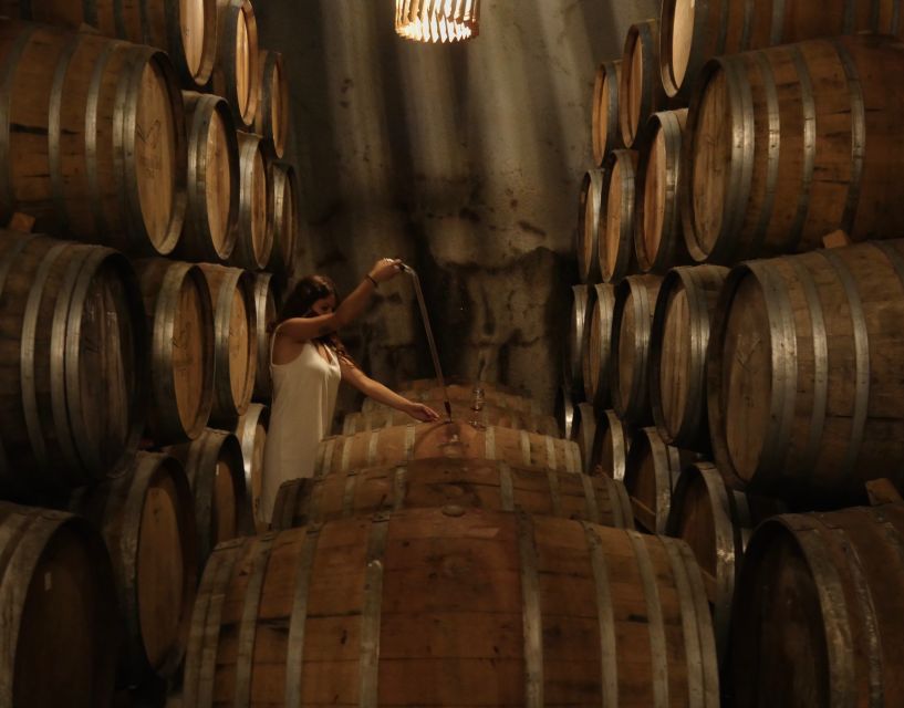 Douro Valley: Winery Tour at Quinta do Tedo and Tastings - Is $42 a fair price?