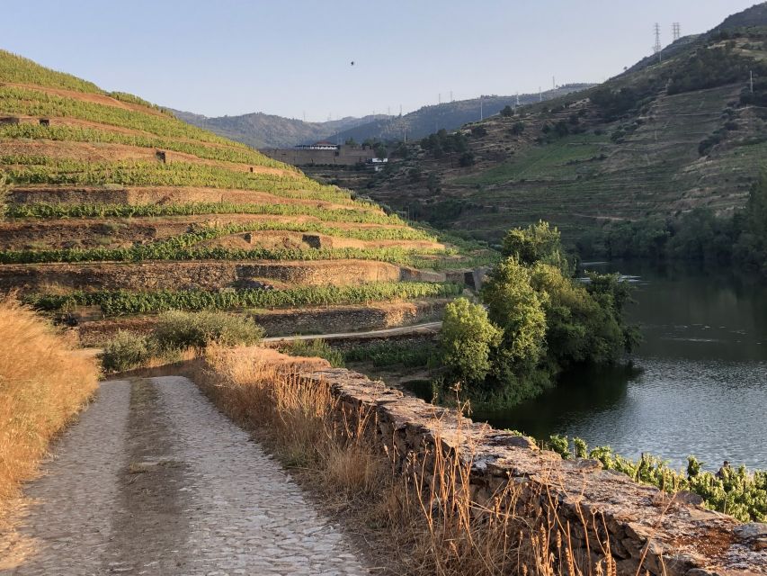 Douro Valley: Winery Tour at Quinta do Tedo and Tastings - Who will enjoy Quinta do Tedo most?