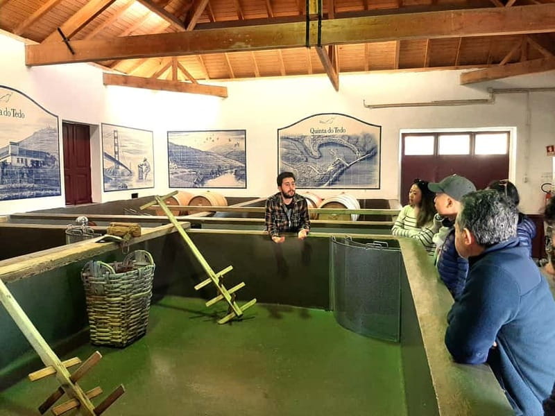 Douro Valley: Winery, Traditional Lunch & Private Boat Trip - The drive from Porto and the first Douro viewpoints