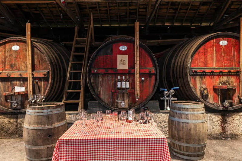 Douro Valley: Winery, Traditional Lunch & Private Boat Trip - Is $223 per person good value?