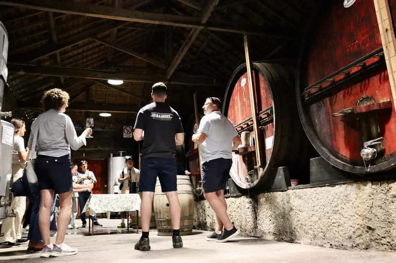 Douro Valley: Winery, Traditional Lunch & Private Boat Trip - Who should book this experience?