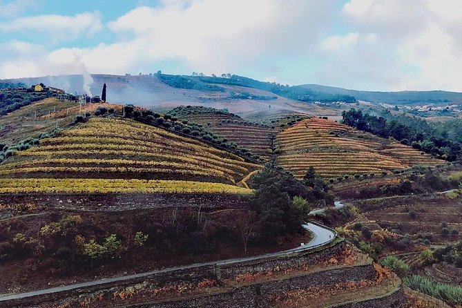 Douro Valley with Two Winery, Boat Trip and Lunch From Porto - Key points to know before booking