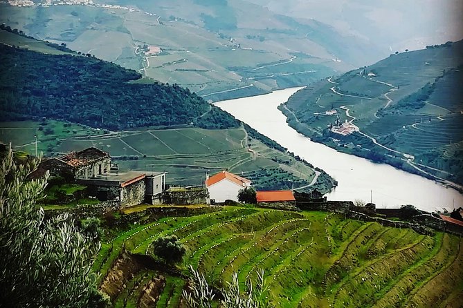 Douro Valley with Two Winery, Boat Trip and Lunch From Porto - The Douro Valley in one long, well-filled day