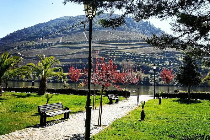 Douro Valley with Two Winery, Boat Trip and Lunch From Porto - The first estate explains Port wine