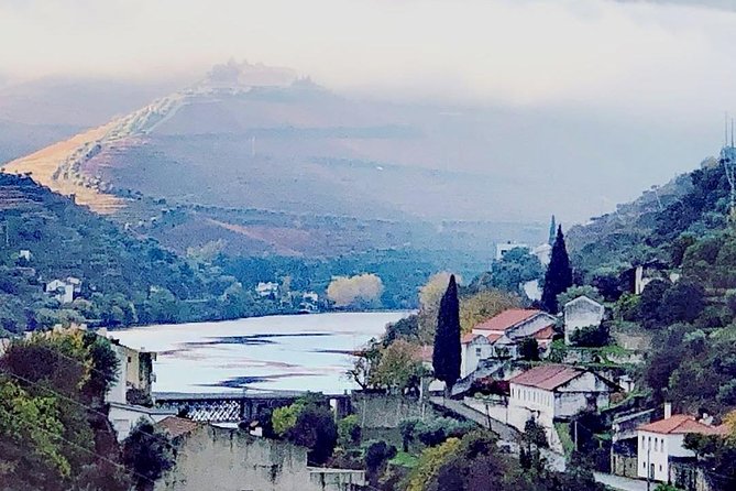 Douro Valley with Two Winery, Boat Trip and Lunch From Porto - A small producer adds olive oil and honey