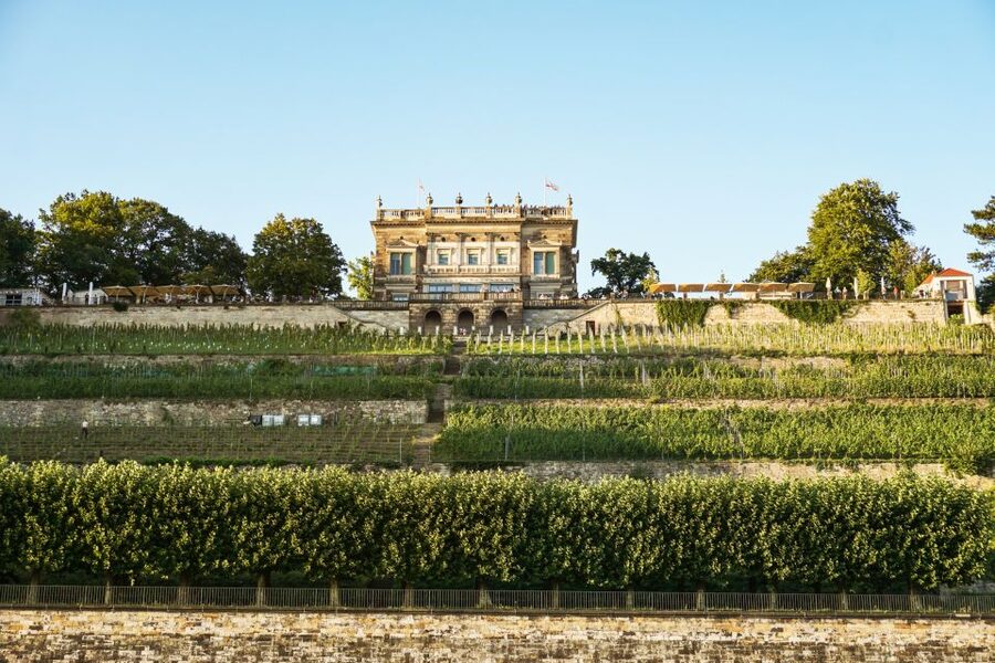Dresden: Elbe River Cruise to Pillnitz Castle - Four bridges and the Blue Wonder