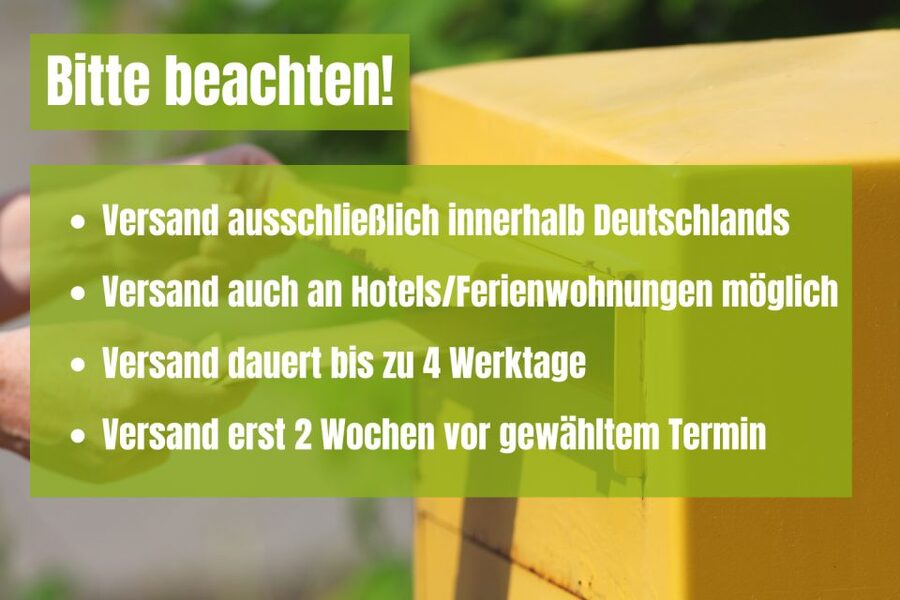 Dresden: Scavenger Hunt to Elbe River & Castles - Lingner Castle and the Elbe castle parks