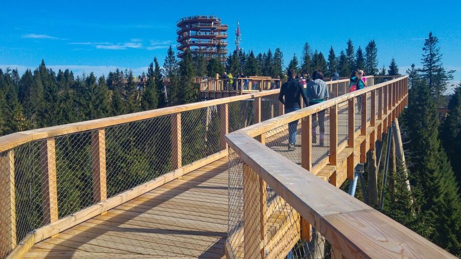Dunajec River Gorge Rafting and Tree Top Walk from Krakow - Who should book this day trip?