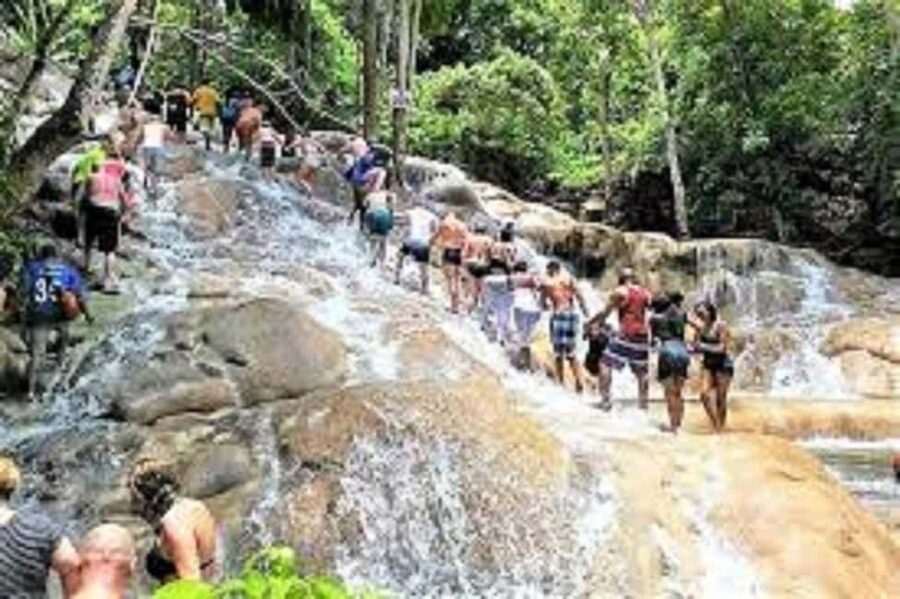Dunn's River Falls Day Tour - Fern Gully and Jamaica’s useful plants