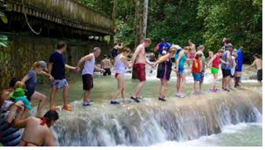 Dunn's River Falls Day Tour - What the private price really buys you