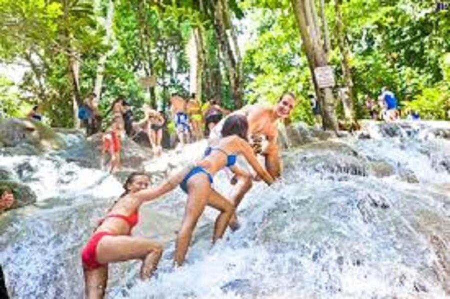 Dunn's River Falls Day Tour - Who should book this tour?