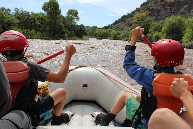 Durango 1/4 Day Rafting Trip - Lower Animas River - Who should choose this Lower Animas trip?