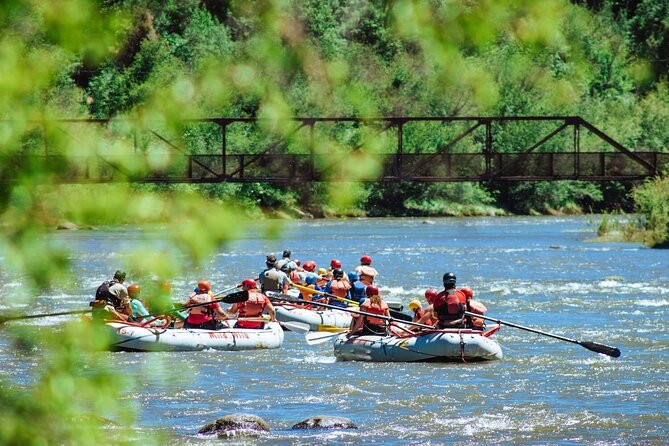 Durango Half Day Rafting Trip - Lower Animas River - Class III Smelter brings the excitement