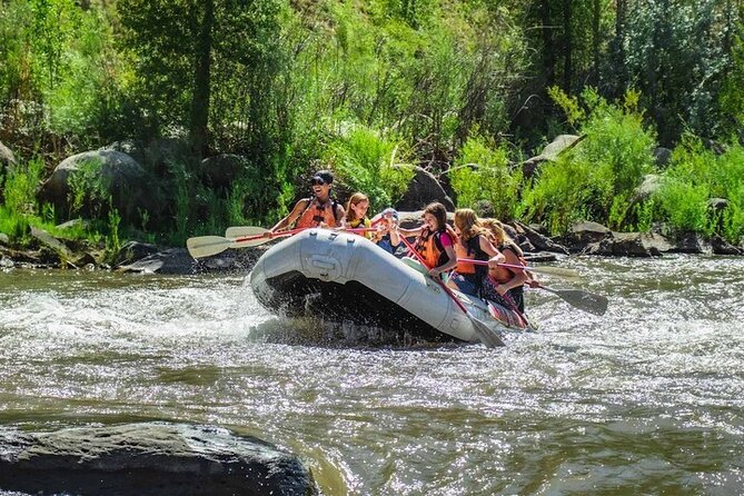 Durango Half Day Rafting Trip - Lower Animas River - The riverside snack stop
