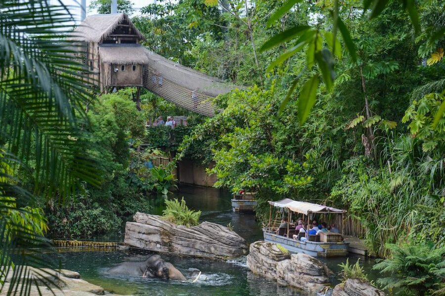 Emmen: Wildlands Adventure Zoo and Rimbula River Boat Ride - Who will get the most from Wildlands