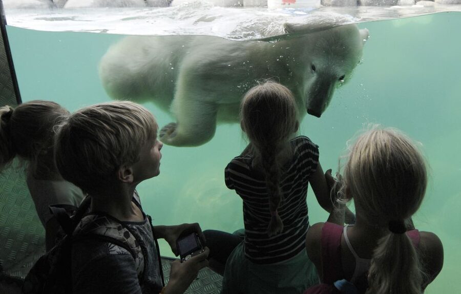 Emmen: Wildlands Adventure Zoo and Rimbula River Boat Ride - Starting in Jungola, Wildlands’ indoor jungle