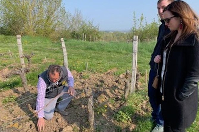 English Speaking Loire Winery Tours originating from Chinon - The full-day route: three vineyards and a three-course picnic