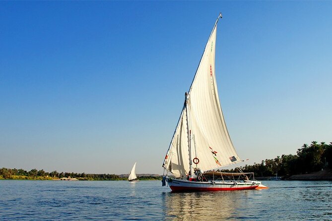 Enjoy 4 nights Nile Cruise Luxor&Aswan&Abu Simbel&Balloon from Cairo by plane - Day three: horse and carriage at Edfu and sunset at Kom Ombo