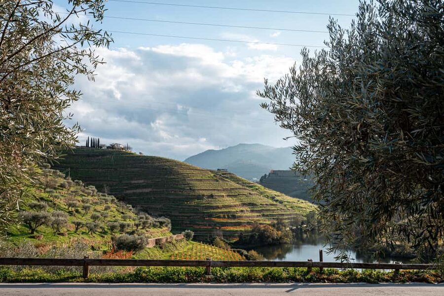 Exclusive Douro Valley: 3 Wineries, 9 Wine Tastings & Lunch - Second winery: another view and four more wines