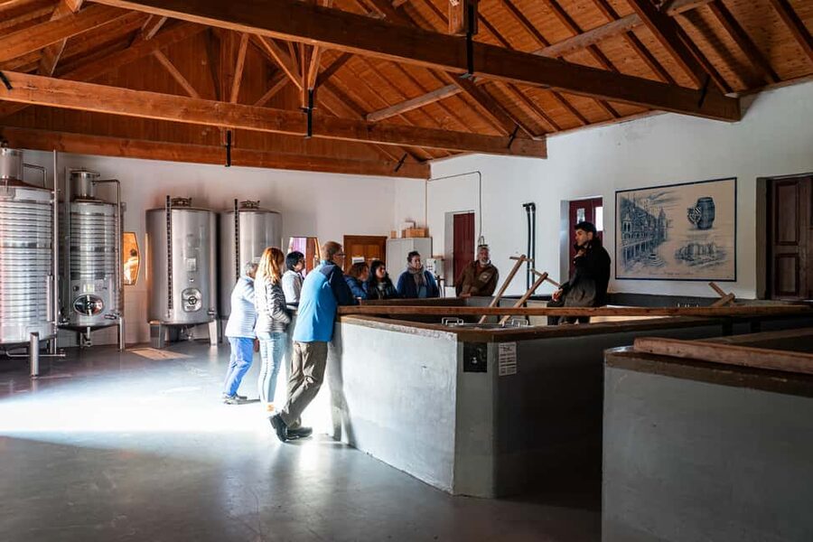 Exclusive Douro Valley: 3 Wineries, 9 Wine Tastings & Lunch - Pinhão and a final Vintage Port