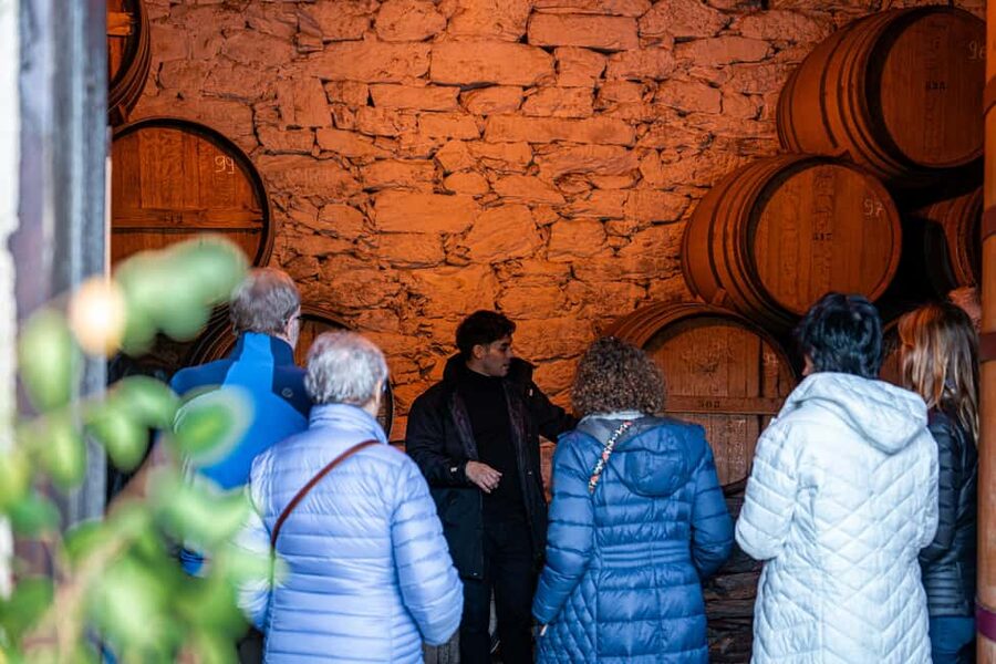 Exclusive Douro Valley: 3 Wineries, 9 Wine Tastings & Lunch - What the $153 price really covers