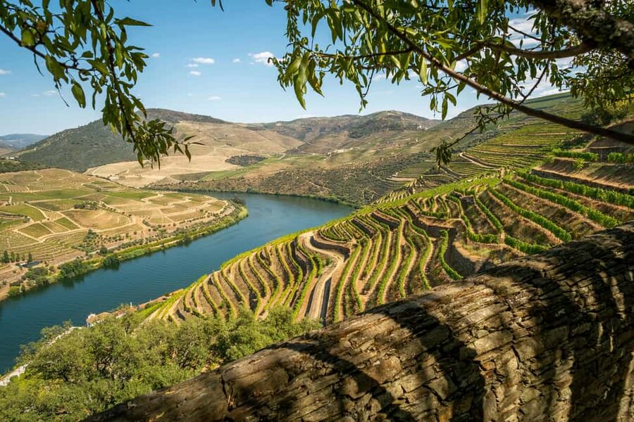Exclusive Douro Valley: 3 Wineries, 9 Wine Tastings & Lunch - An early Porto pickup and a long scenic road