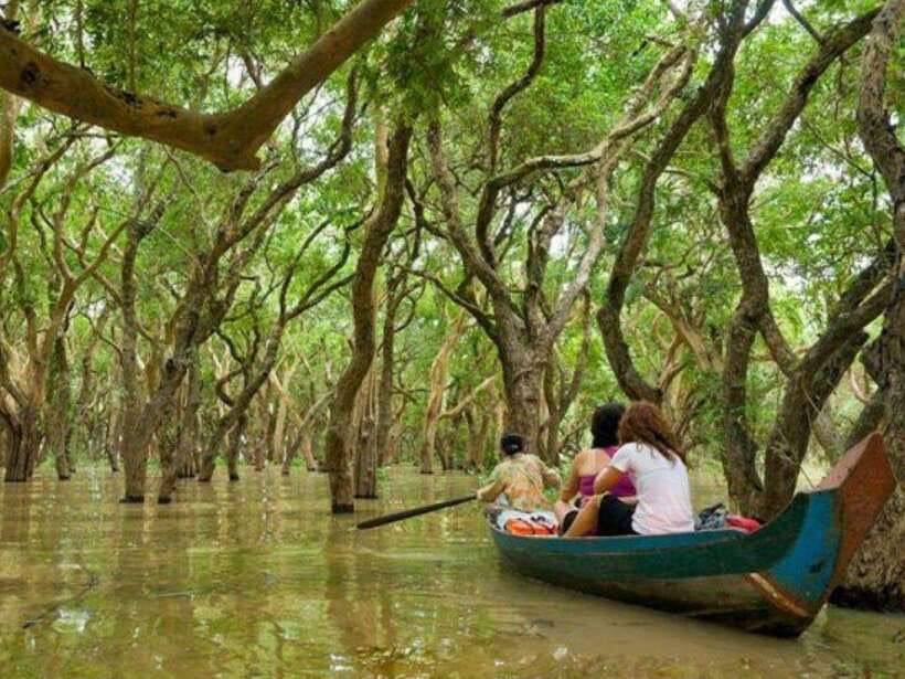 Floating Village-Mangroves Forest Tonle Sap Lake Boat Tour - Tonle Sap gives the morning its purpose