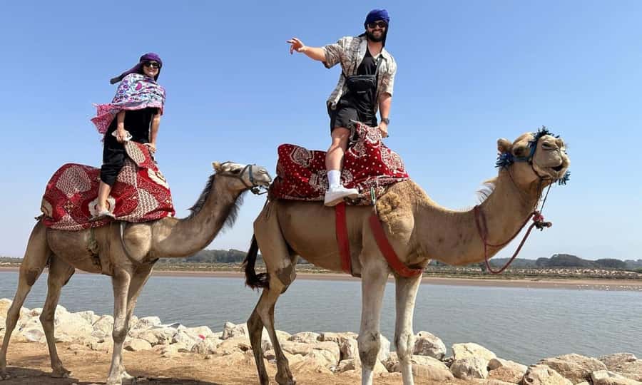 From Agadir: Souss River Camel Ride - Key points to know before booking