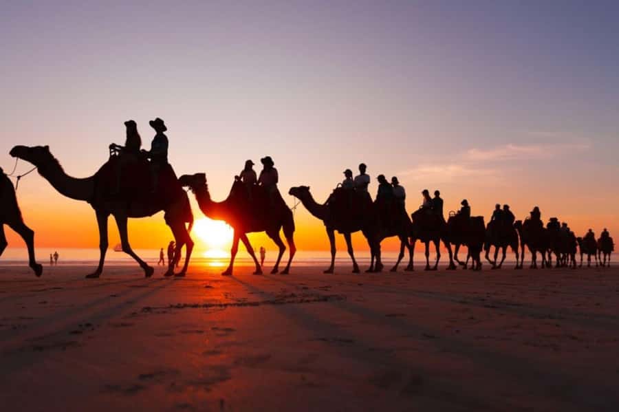From Agadir: Souss River Camel Ride - Who will enjoy this most?