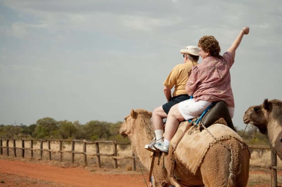 From Agadir: Souss River Camel Ride - What this camel ride is really like
