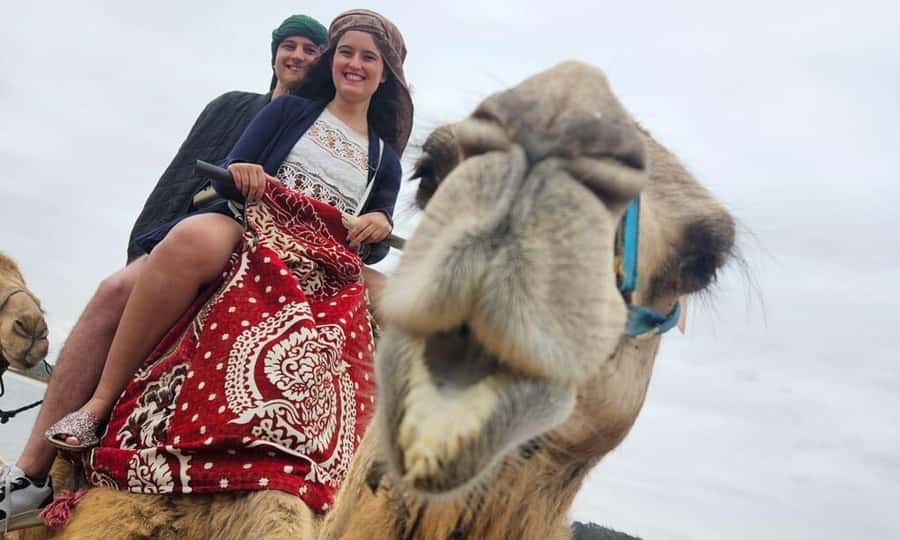 From Agadir: Souss River Camel Ride - Meeting your dromedary at the stables