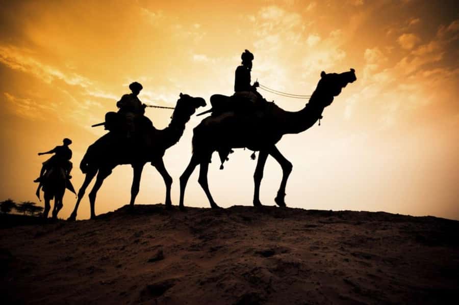 From Agadir: Souss River Camel Ride - How long are you actually on the camel?