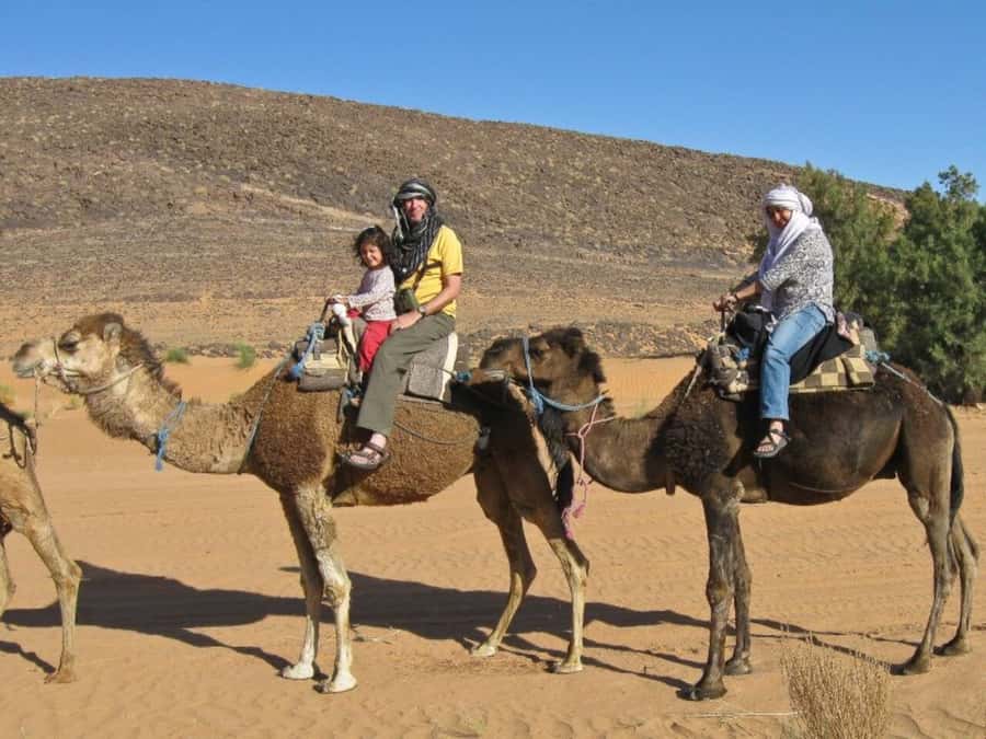From Agadir: Souss River Camel Ride - What is included for $24?