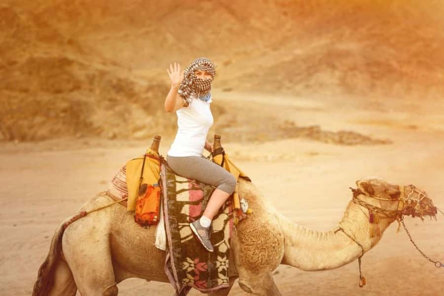 From Agadir: Souss River Camel Ride - Leaving Agadir for the Souss-Massa region