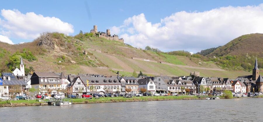 From Alken: Moselle Valley Sightseeing Cruise - Who will get the most from this outing