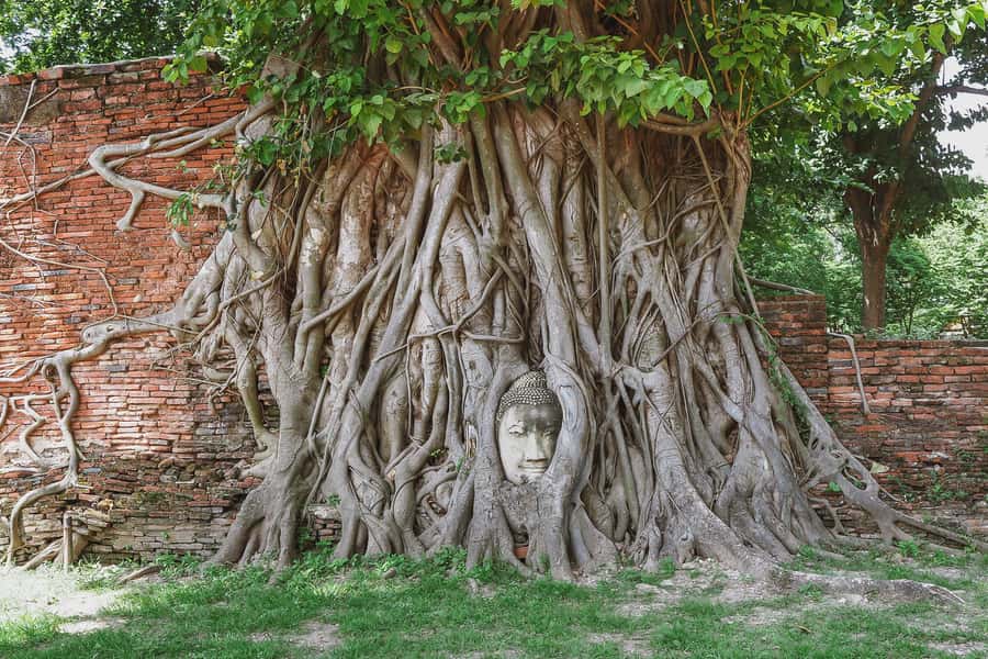 From Bangkok: Ayutthaya Day Tour by Bus with River Cruise - Why this Ayutthaya day trip works well