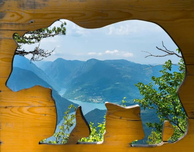 From Belgrade: Tara National Park & Drina River Valley Tour - Key points to know before booking