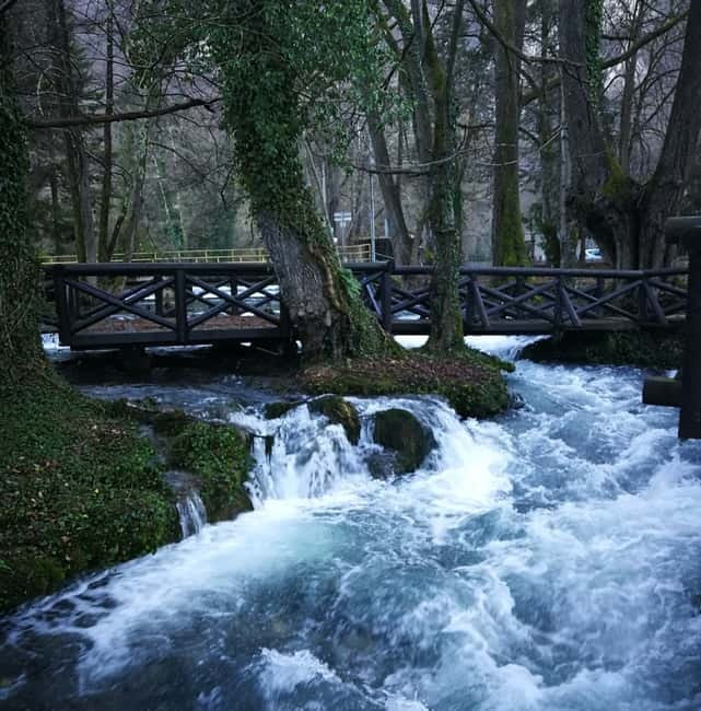 From Belgrade: Tara NP & Drina river & House on the Drina - Short scenic stops that break up the drive