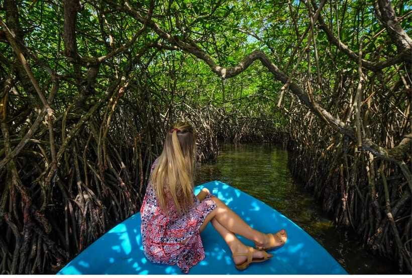 From Bentota: Exclusive Madu River Safari & Turtle Hatchery - Who will enjoy this private morning