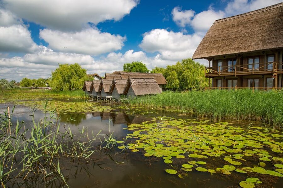 From Bucharest: Day Trip to Danube Delta - Starting early at Bucharest’s central meeting points